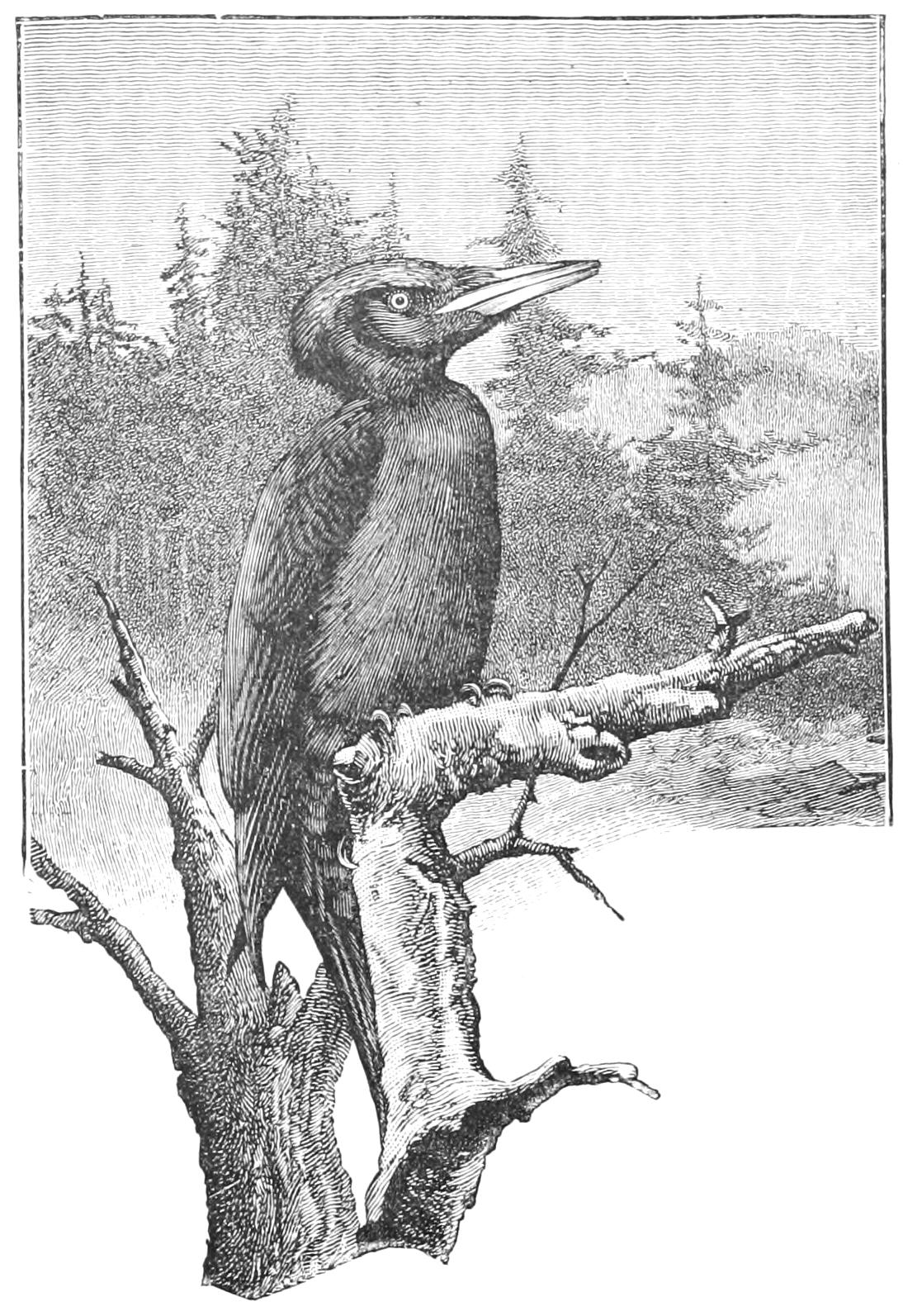 fig96