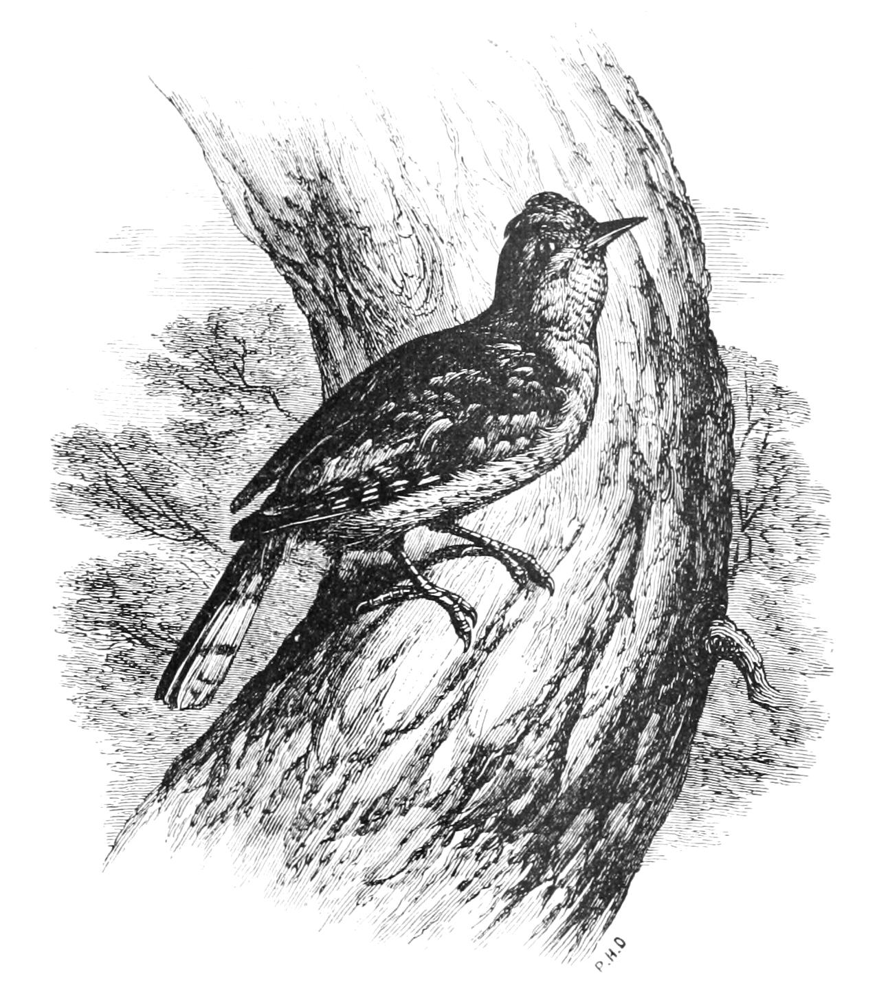 fig97
