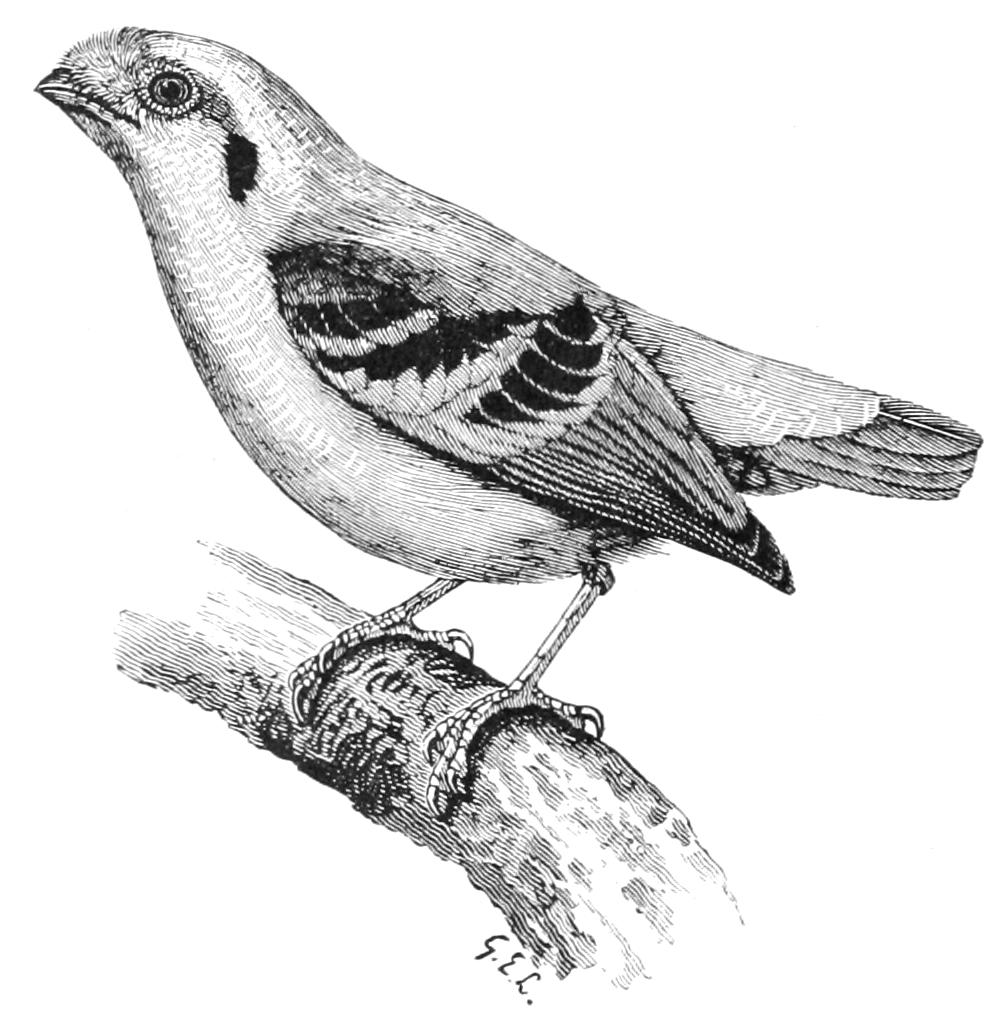 fig98