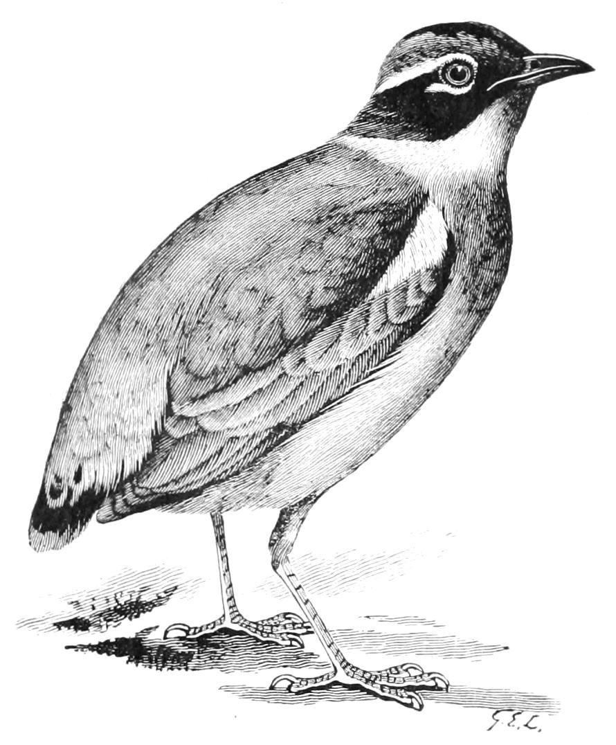 fig99