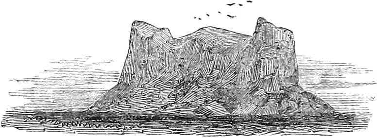 Distinguished Mount