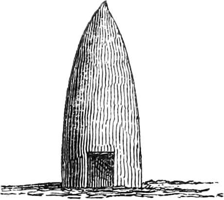 Henhouse