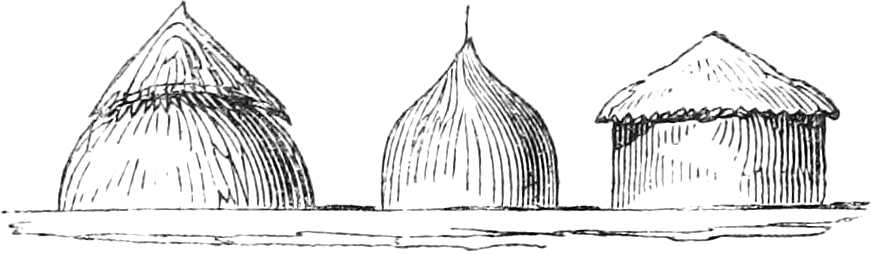 Different Shape of Huts