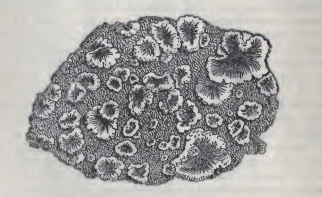 0027 